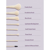 ست براش صورت ۸ عددی شیگلم مدل PRO CORE BRUSH KIT