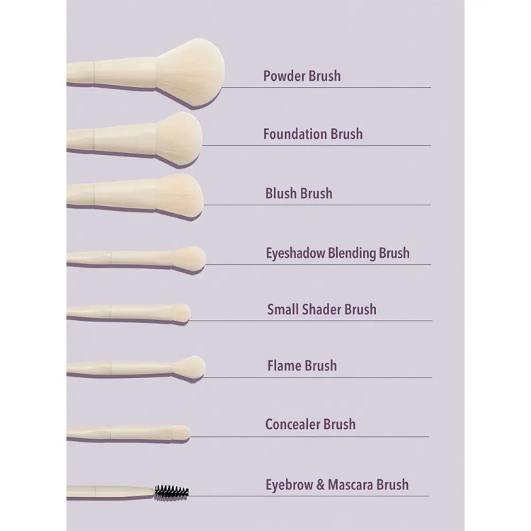 ست براش صورت ۸ عددی شیگلم مدل PRO CORE BRUSH KIT